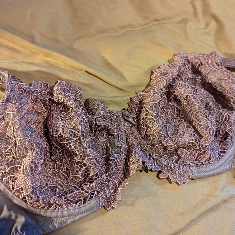 Creme Bralee 36D Lace Underwire Bra